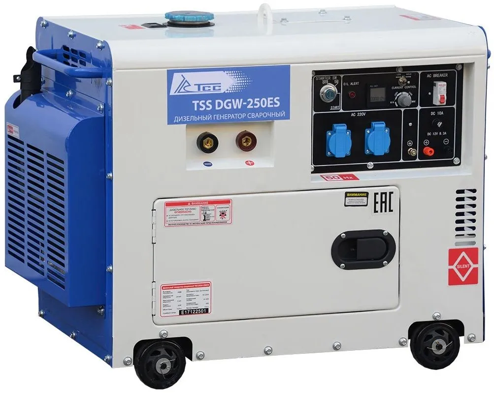 Сварочный генератор ТСС DGW-250E