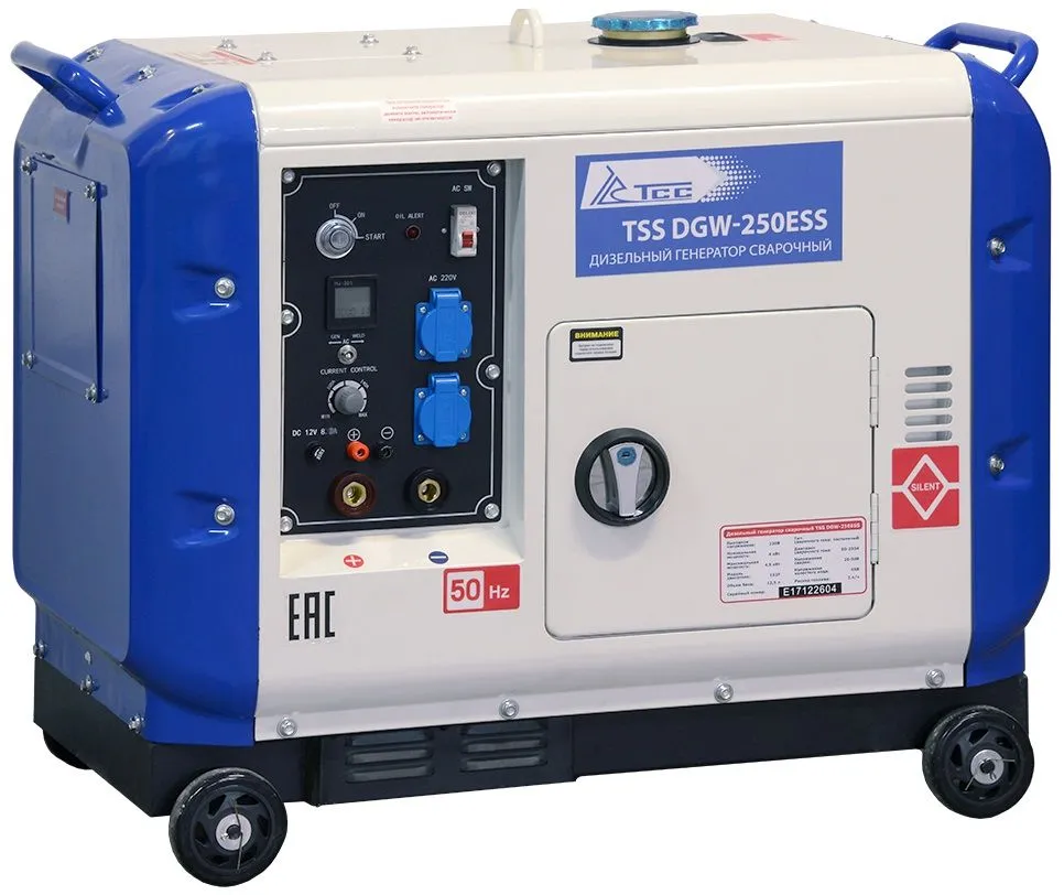 Сварочный генератор ТСС DGW-250ESS